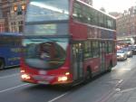 Les fameux bus anglais