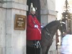 Horse Guard