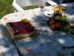 DSCN0091